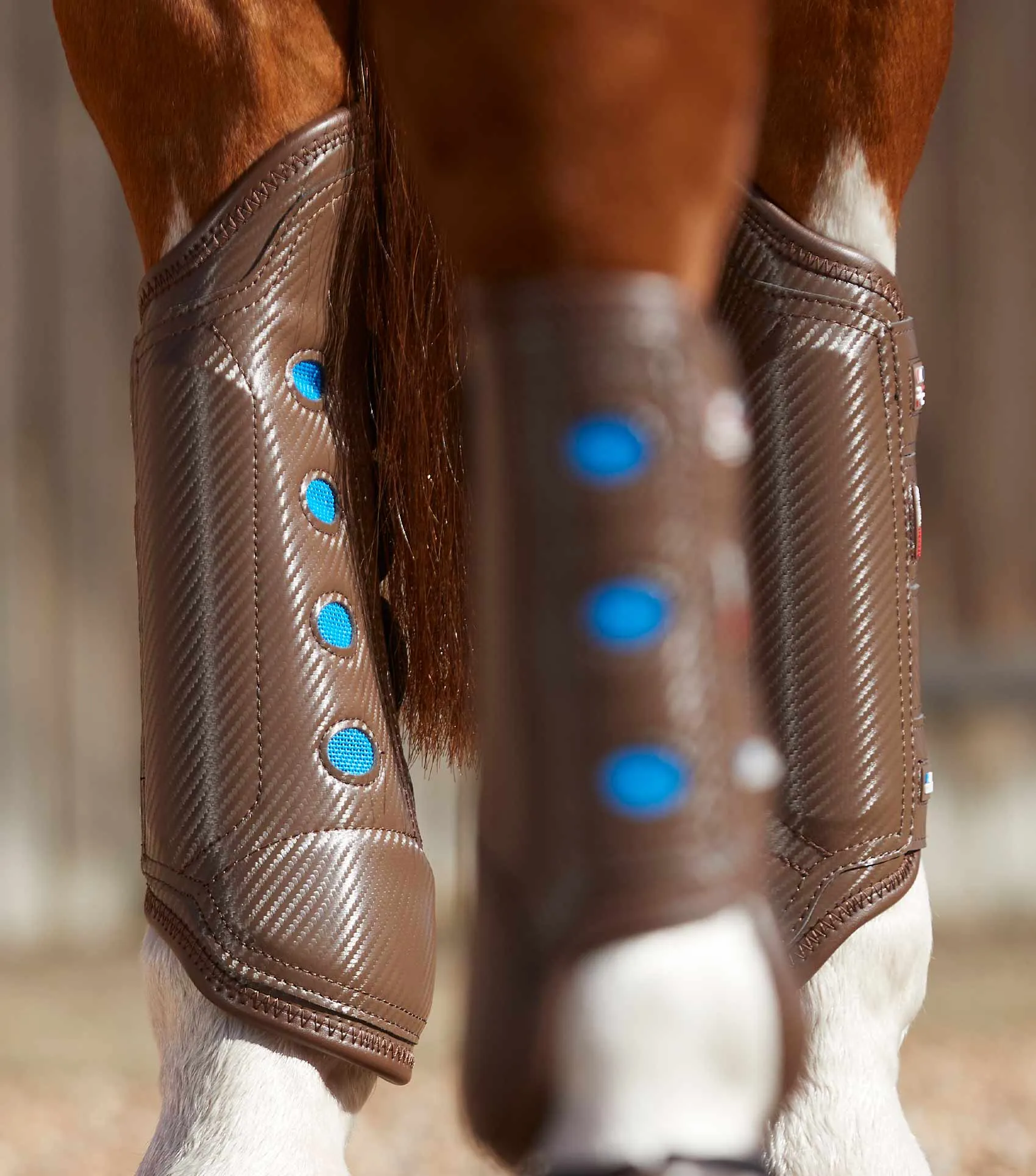 Carbon Tech Air Cooled Eventing Boots Brown Hind