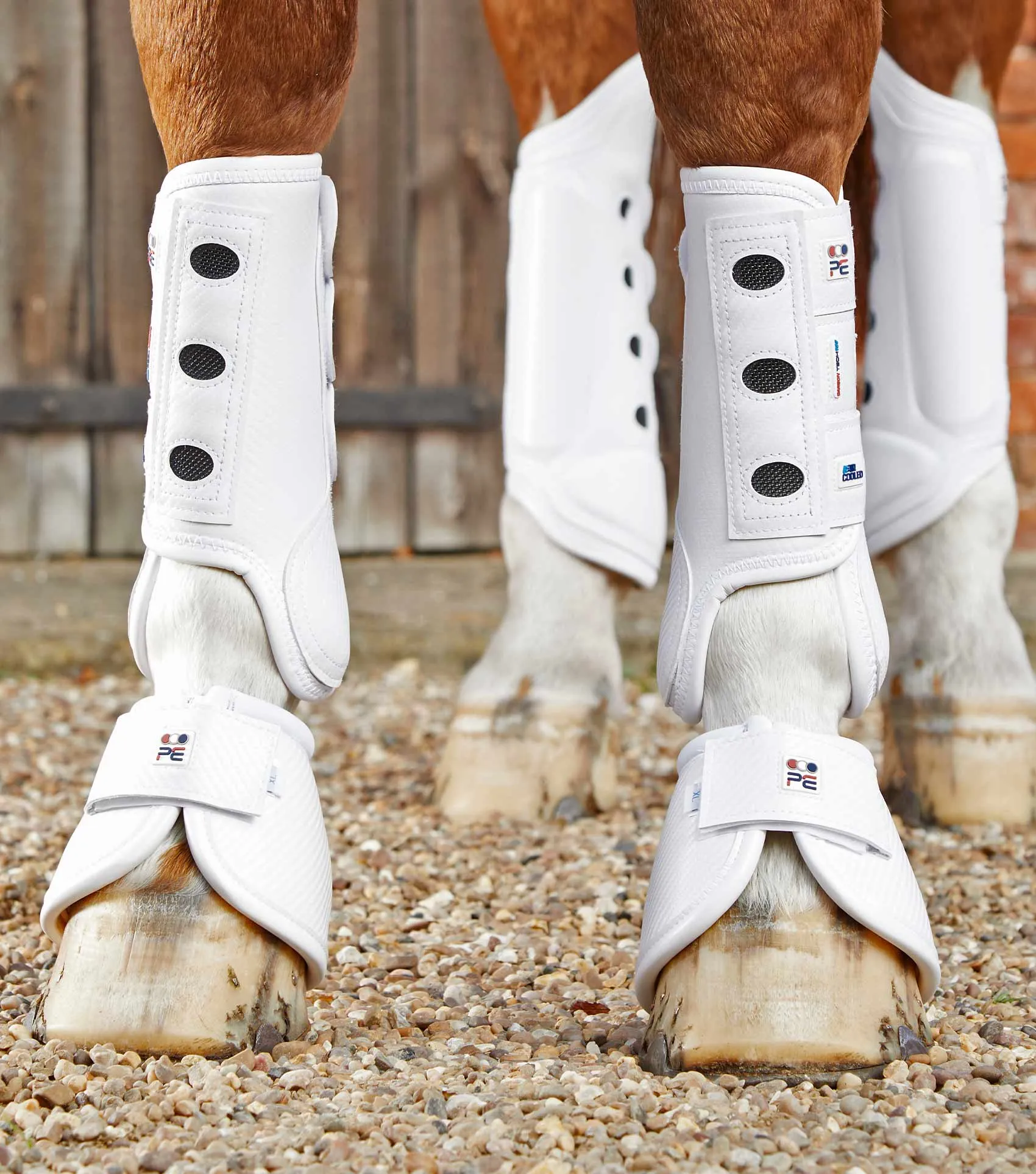 Carbon Tech Air Cooled Eventing Boots White Front