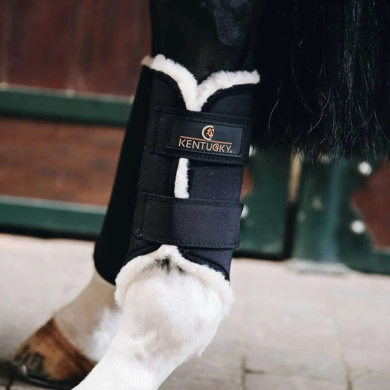 Kentucky Horsewear Solimbra Brushing Boots Front - Black